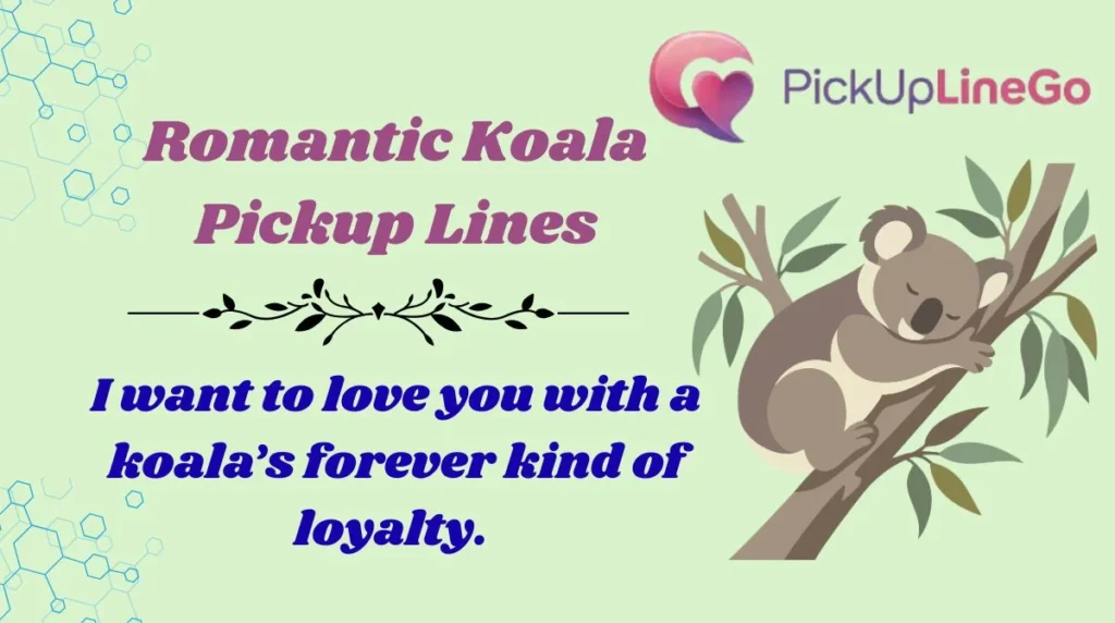 Romantic Koala Pickup Lines