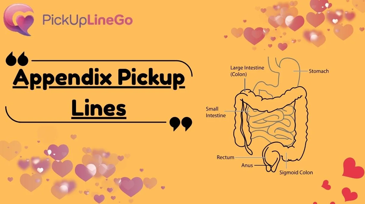 Appendix Pickup Lines